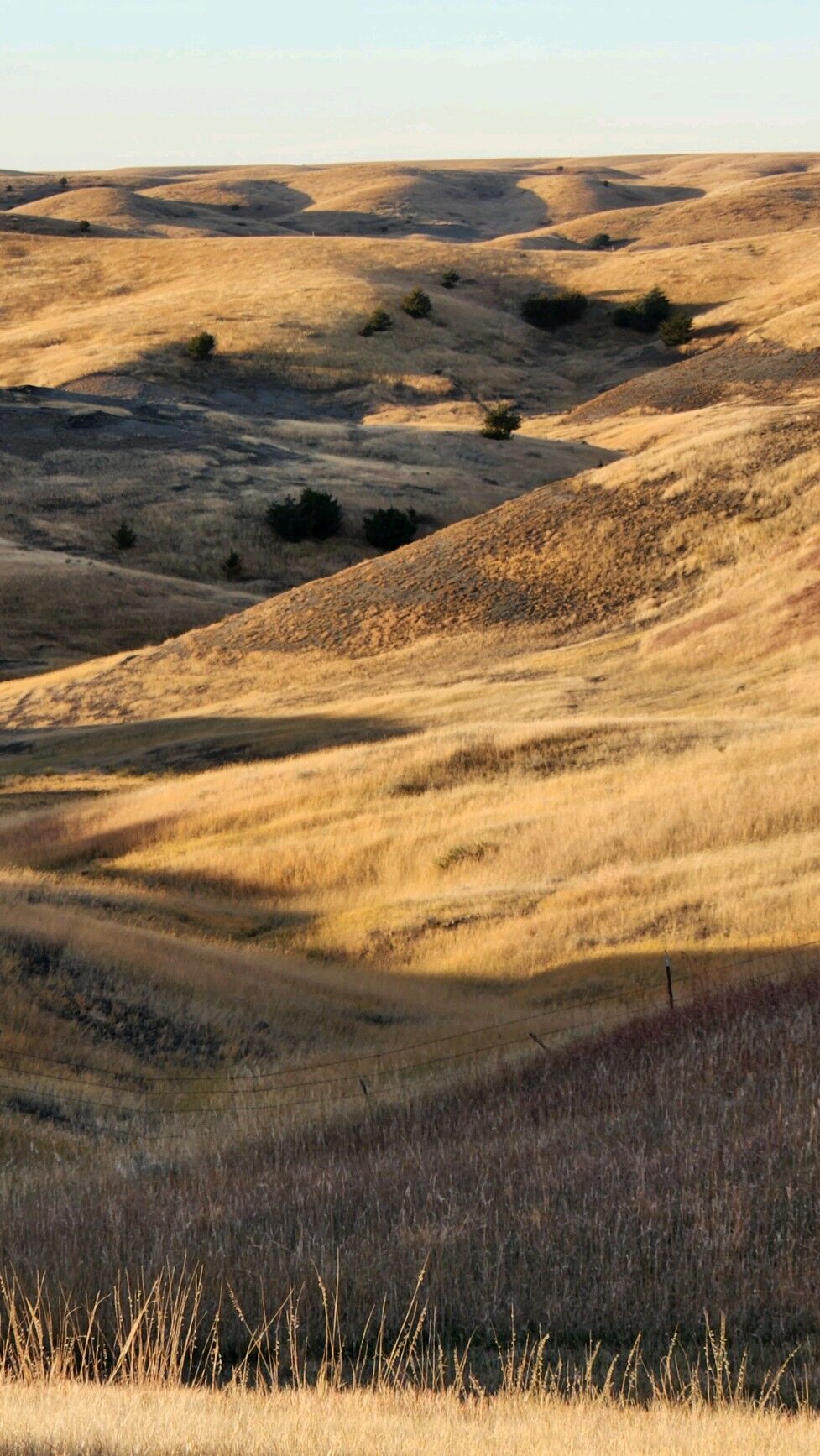 Rolling landscapes